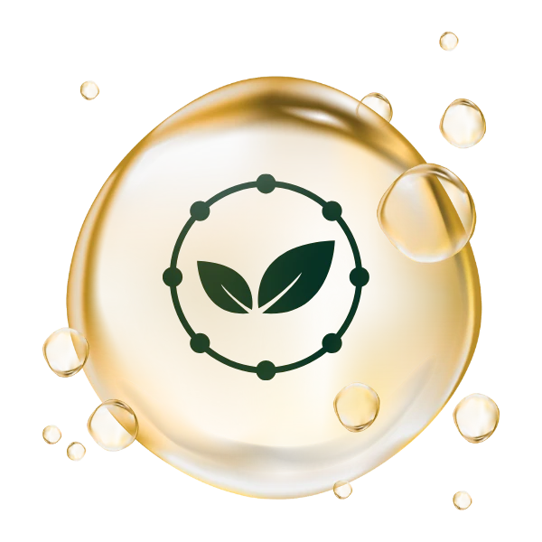 Rich in antioxidants