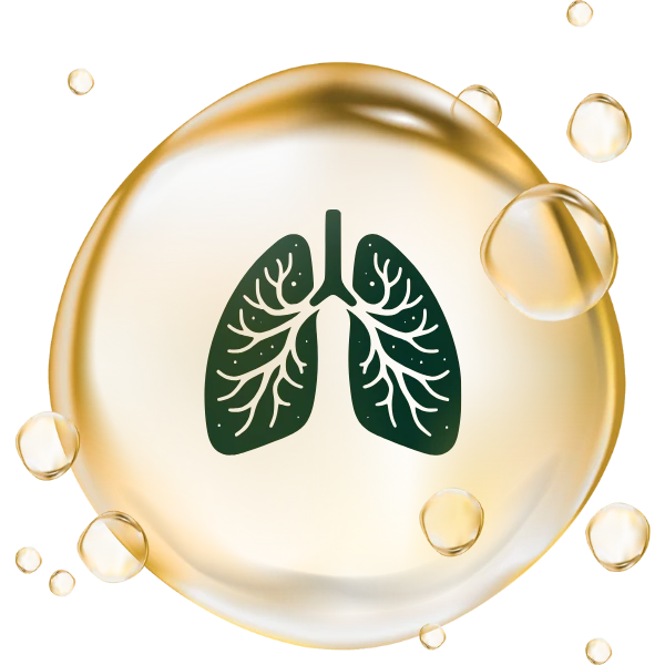 Supports Lungs Health
