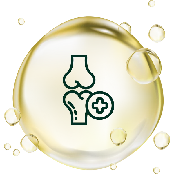 Strengthens Bone Health